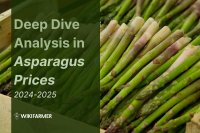 Deep dive in green asparagus prices: A comprehensive price study 2024-2025